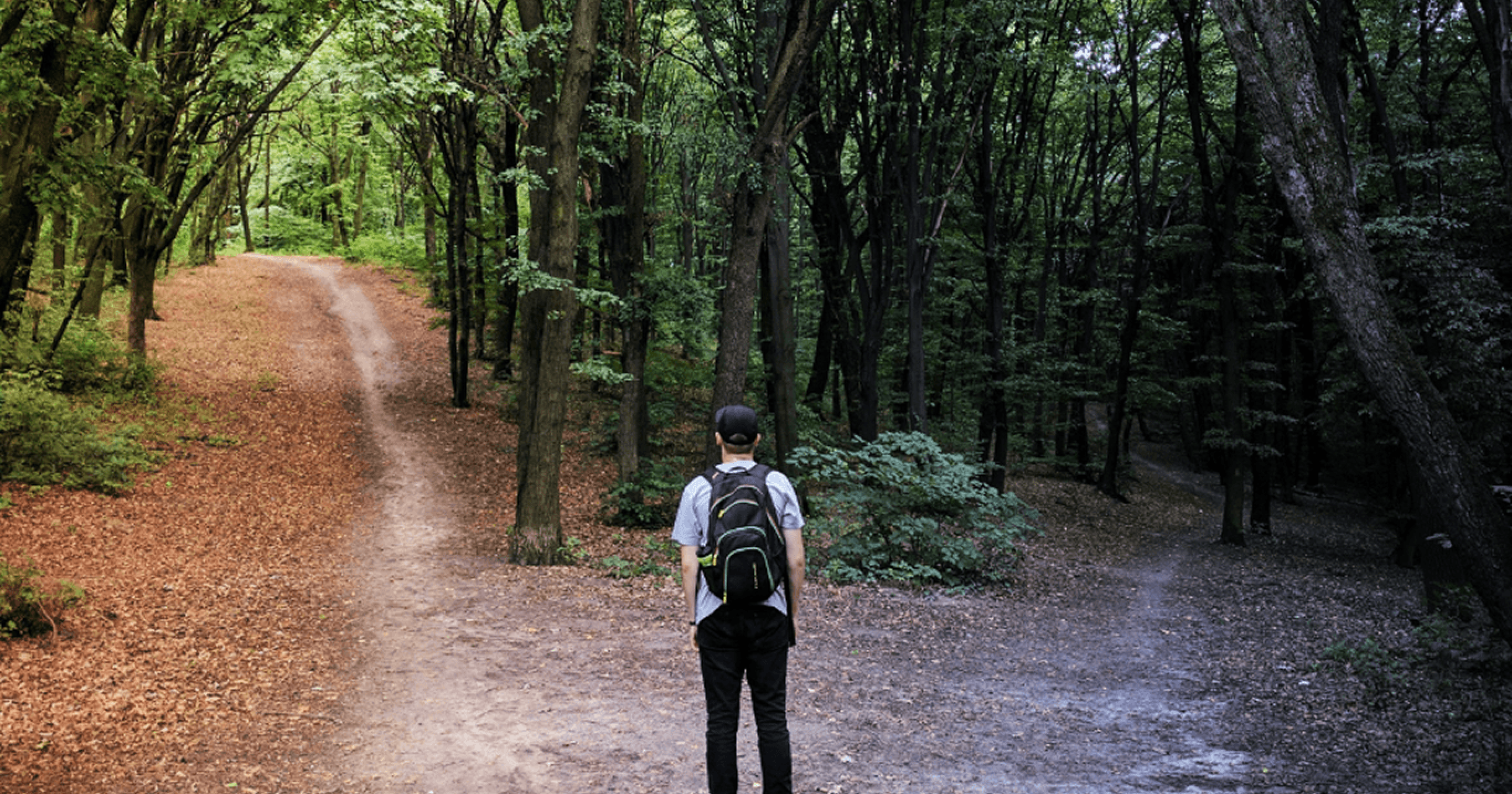 森の分かれ道に立つ人物のイメージ