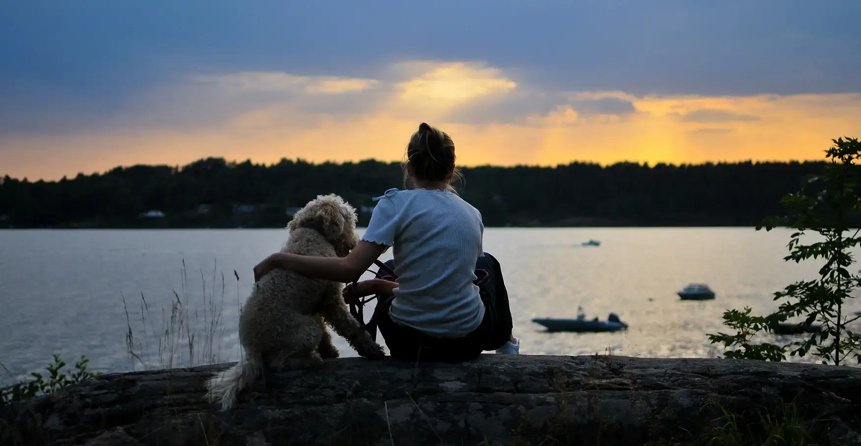 夕暮れ時の水辺で、岩の上に座り愛犬と肩を寄せて景色を眺めている女性の後ろ姿