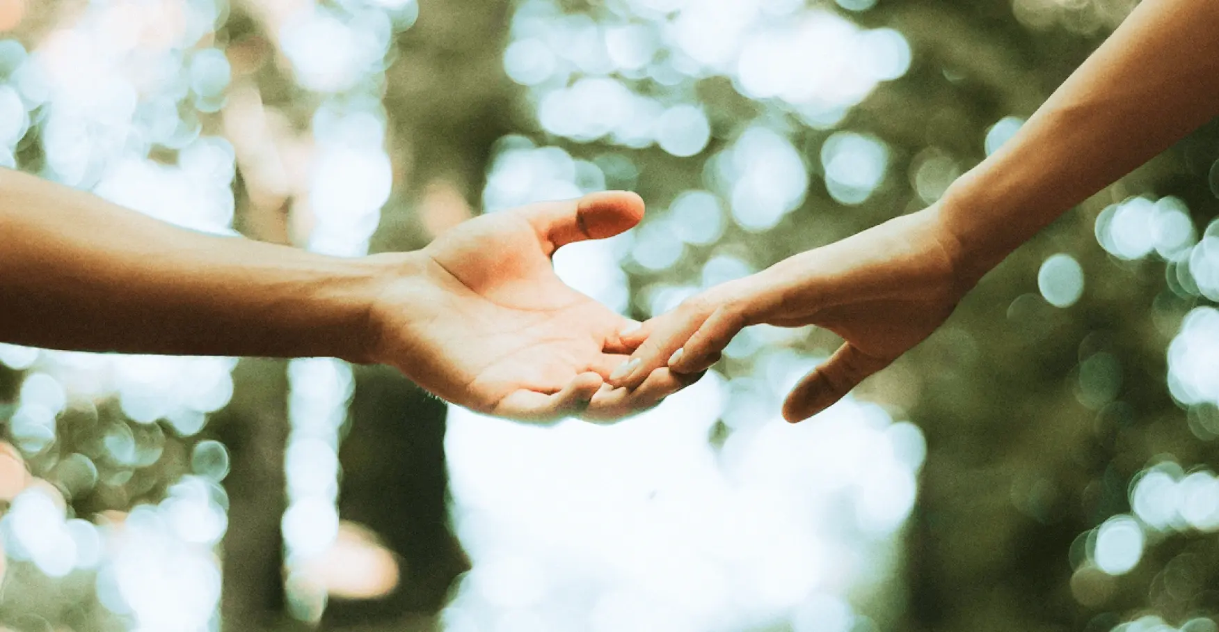 二人の手が森の光の中で触れ合おうとする瞬間のイメージ