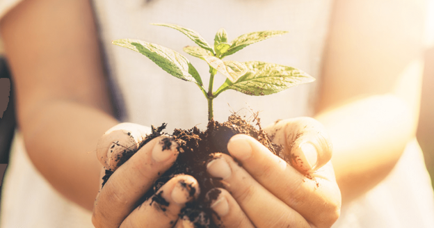 人と共生するロボットの開発に挑む（後編）