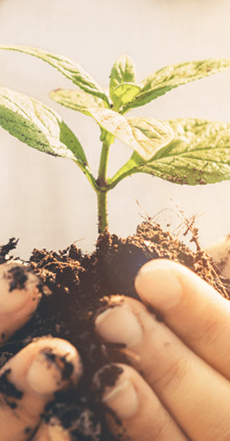 人と共生するロボットの開発に挑む(後編)_メインビジュアル_sp_2x