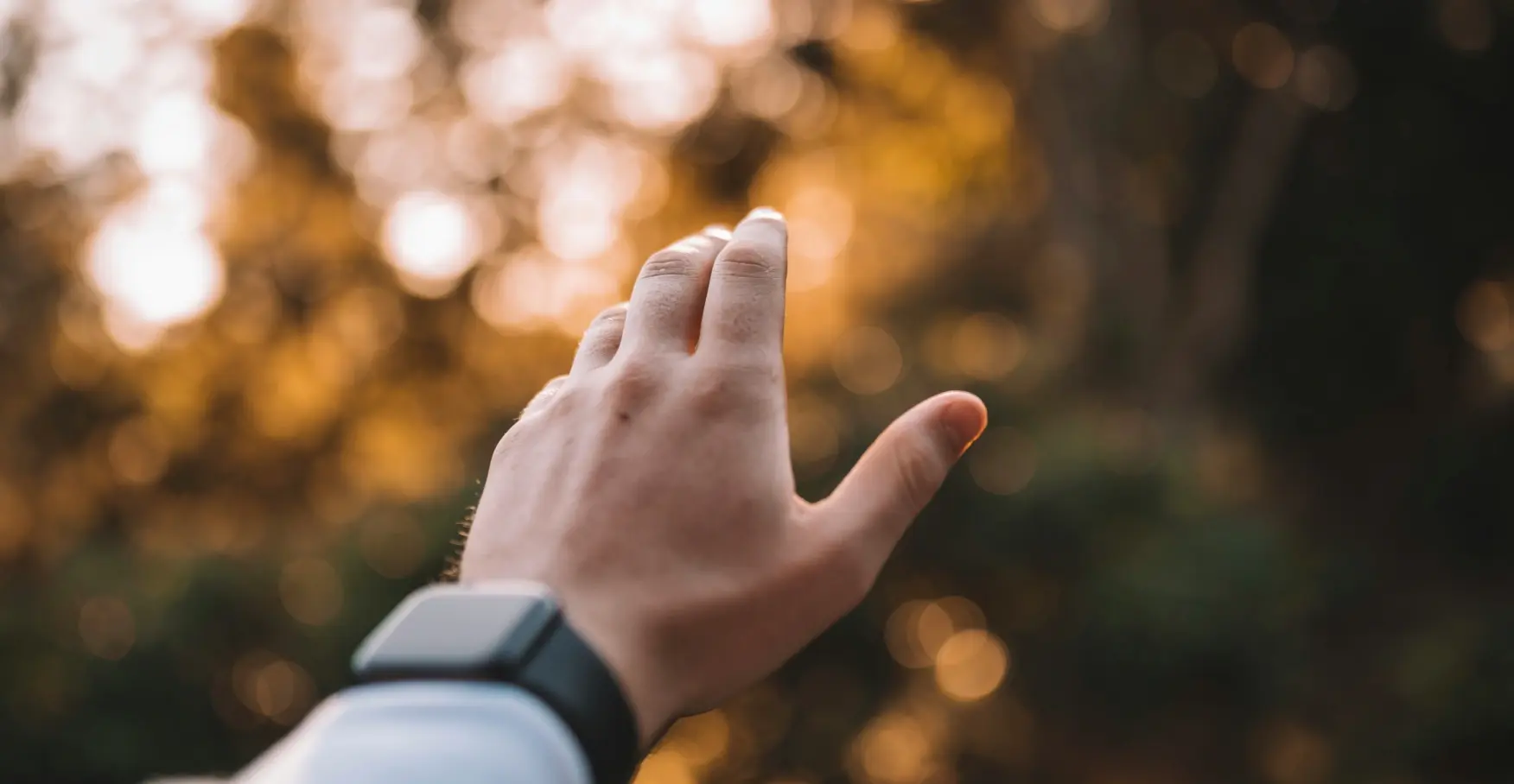 光へ手を伸ばす瞬間