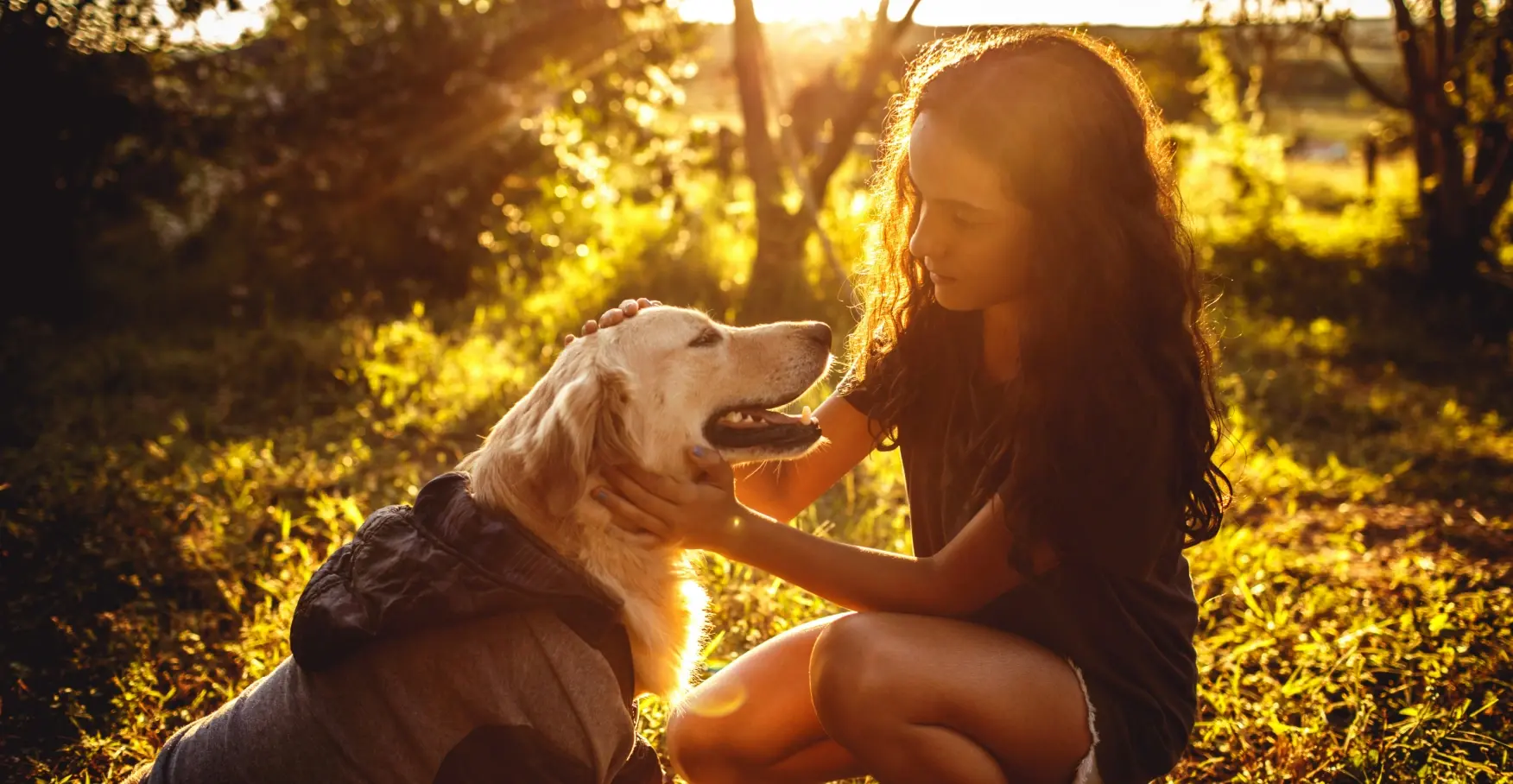 夕暮れの草原で少女が犬を優しく撫でるイメージ