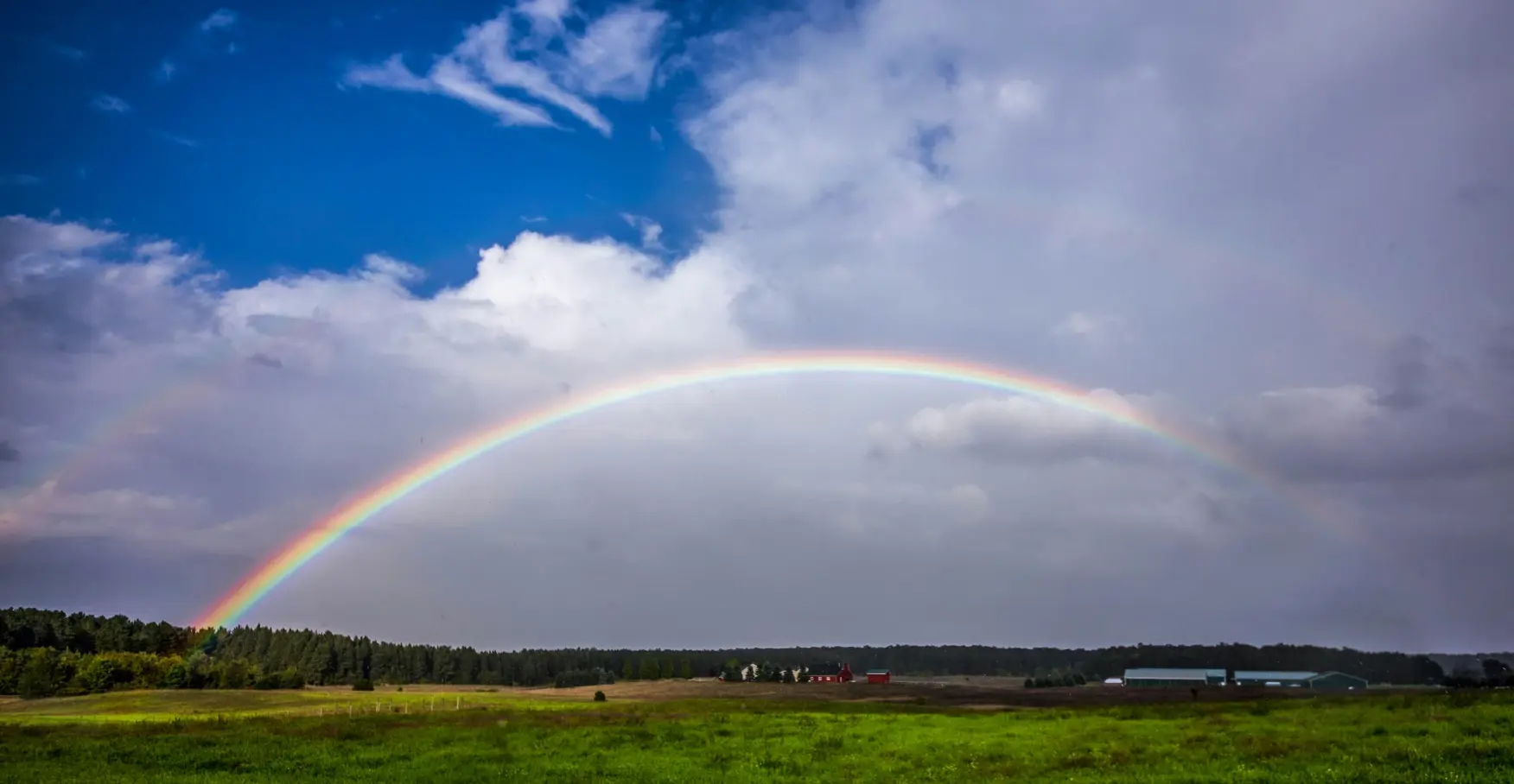 緑豊かな平原と森の上に大きく架かる色鮮やかな虹