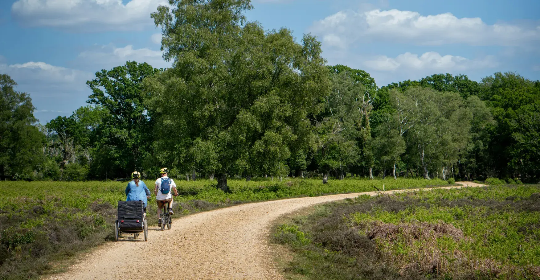 夏の木漏れ日の中、穏やかな一本道を自転車で進む健やかな風景