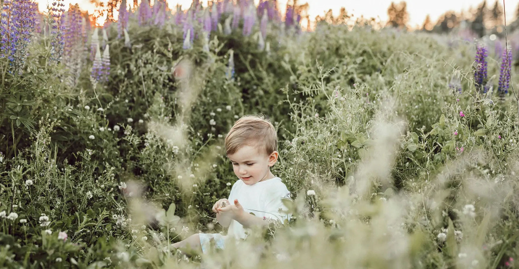 草花に囲まれた子どもが穏やかに過ごす自然の情景