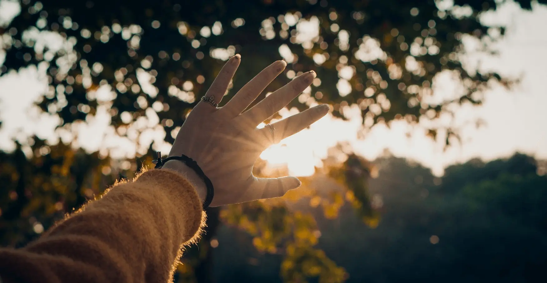 差し込む朝日に手をかざすイメージ