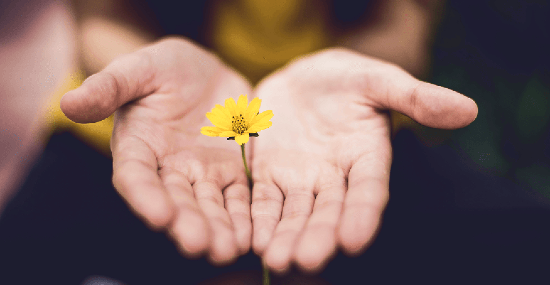 手のひらに小さな黄色い花をそっと乗せているイメージ