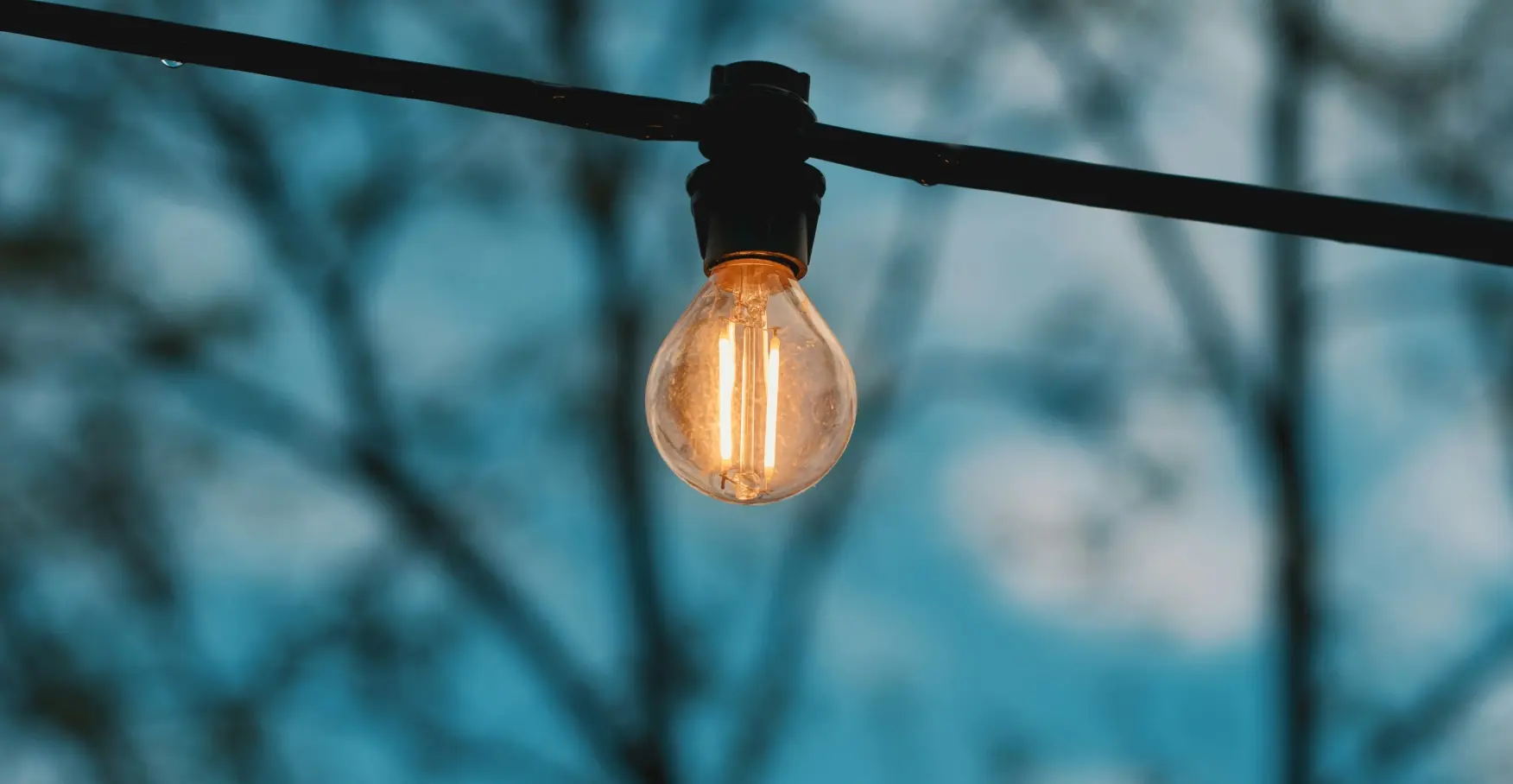 木の枝の前で電球が淡く光っている情景のイメージ