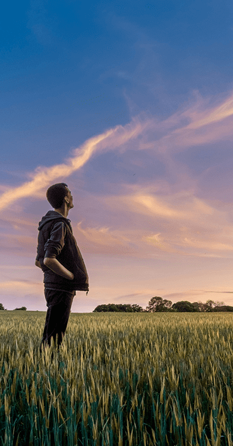 広い草原で夕空を見つめる人のイメージ