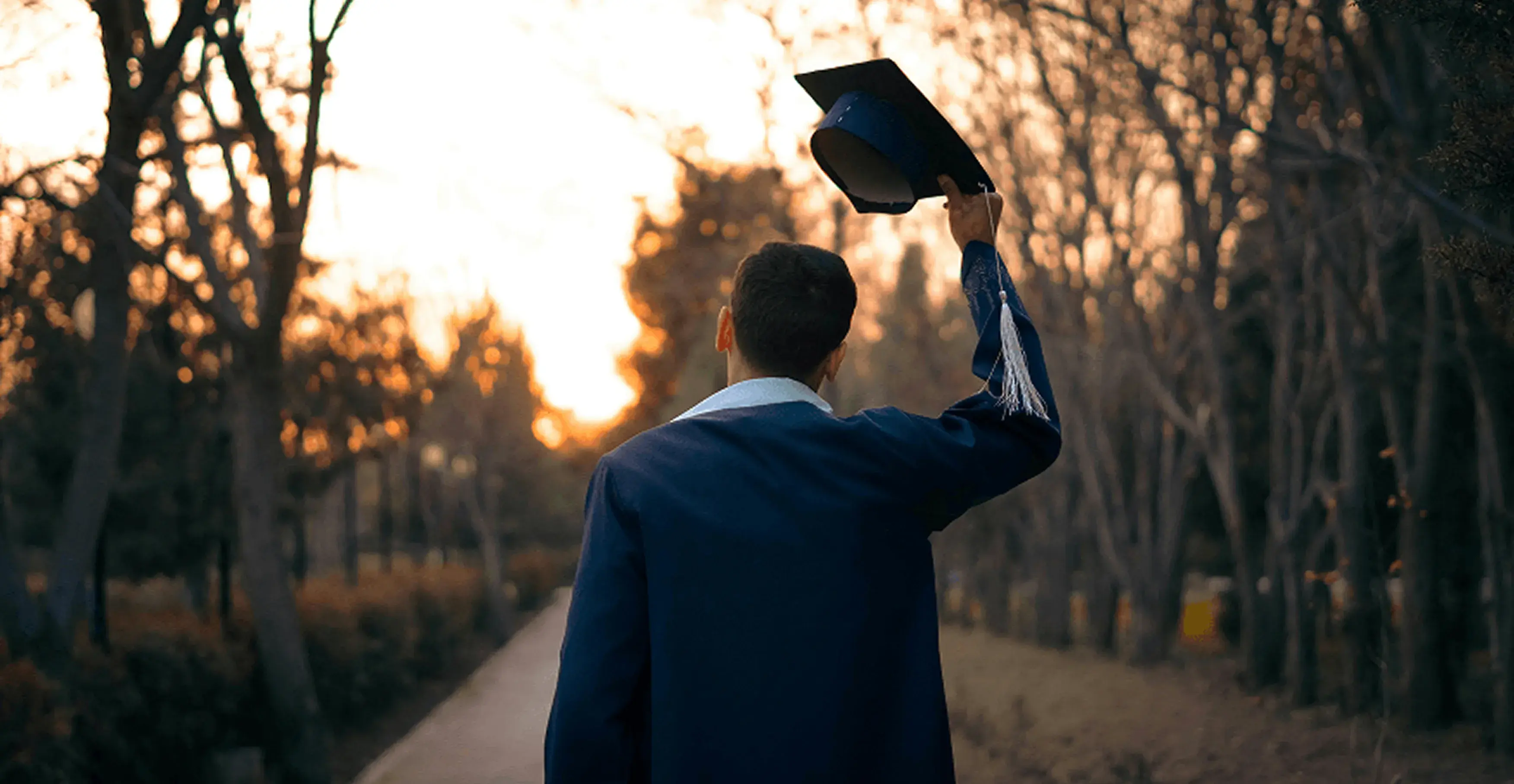 夕暮れの並木道を歩きながら、角帽を掲げる卒業生の男性の後ろ姿