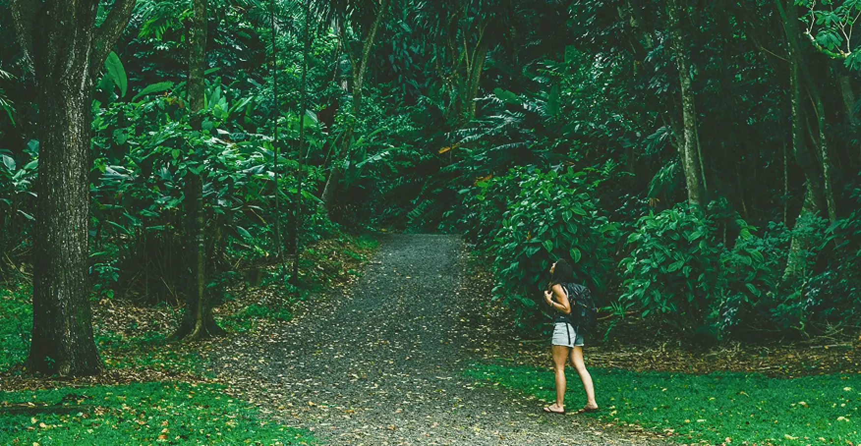 森の小道で一人の女性が立つイメージ