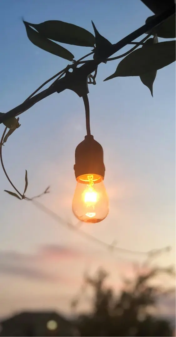 夕暮れの空を背景に、暖かく光る一球の吊り下げ電球_メインビジュアル_sp