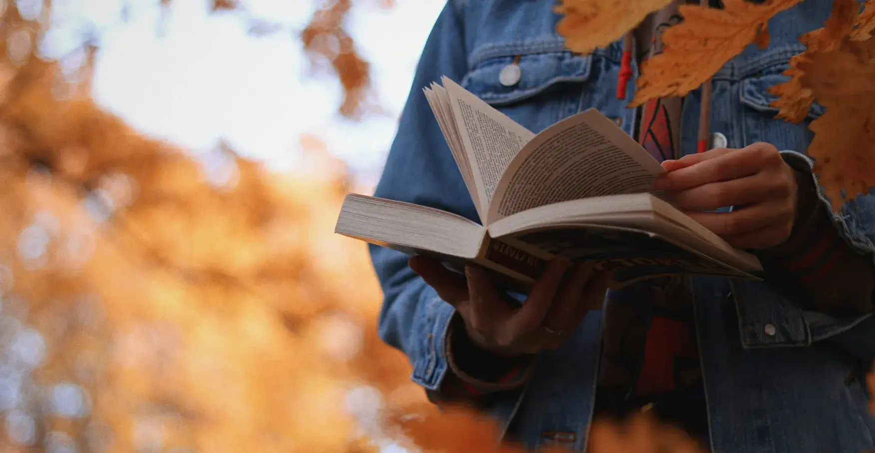 紅葉した秋の木々の下で、デニムジャケットを着て本を開きページをめくる人の手元