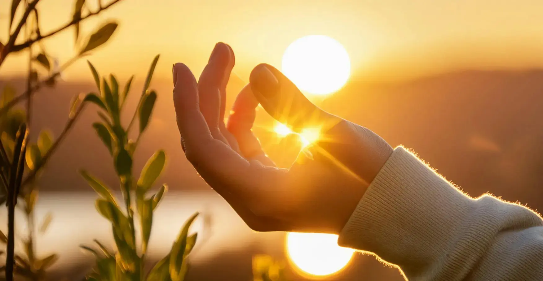 指の間から太陽の光が差し込む手と緑の葉