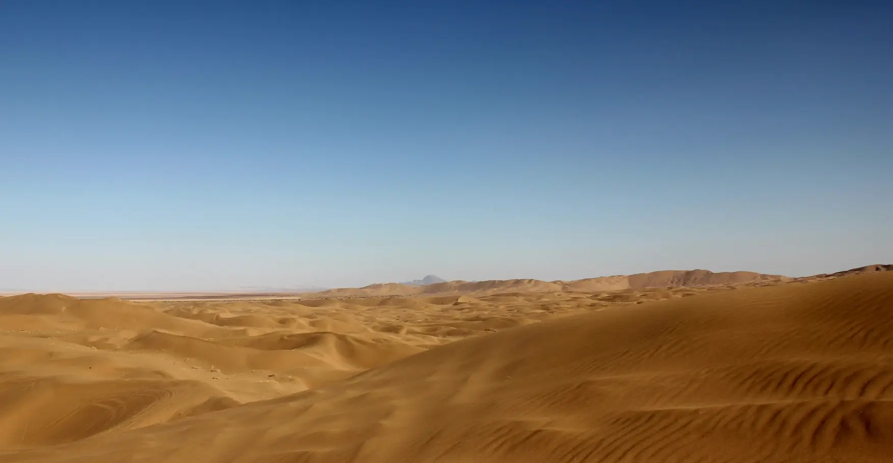 adobestock_249547833_1 (3) (1)