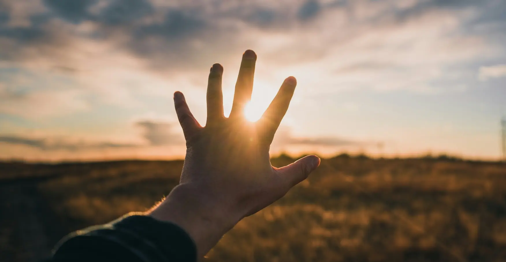 adobestock_249547833_1 (6) (1)