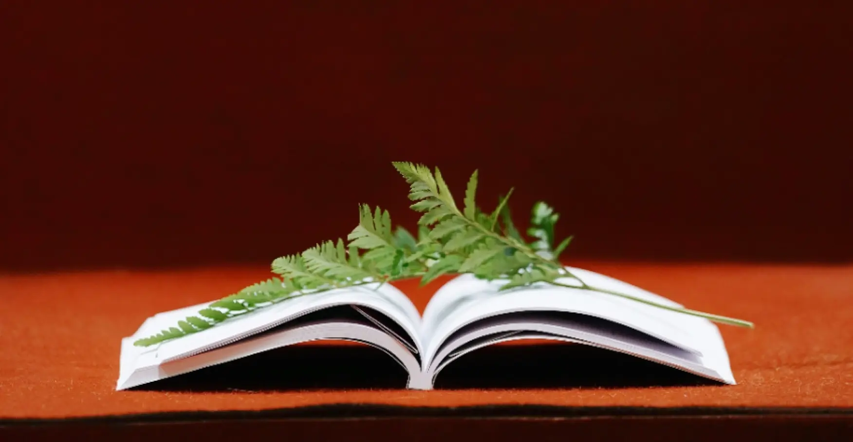 開いた本の上に葉が置かれたイメージ