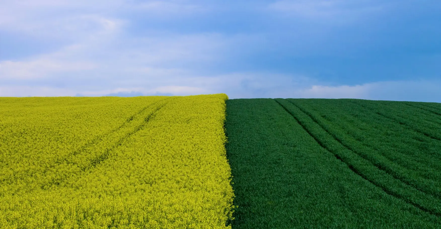 adobestock_249547833_2 (6) (1)